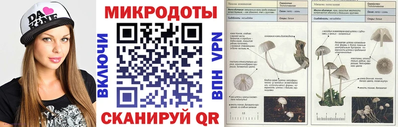 Галлюциногенные грибы Psilocybine cubensis Аткарск