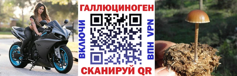 Галлюциногенные грибы мицелий  hydra ссылка  Аткарск 